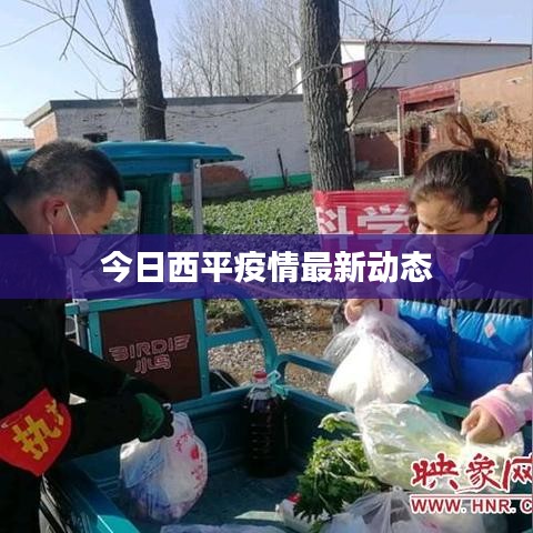 今日西平疫情最新动态