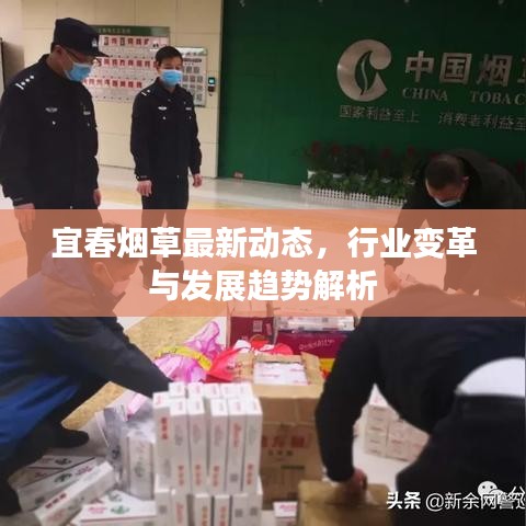 宜春烟草最新动态，行业变革与发展趋势解析