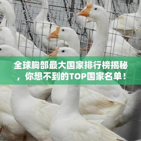 全球胸部最大国家排行榜揭秘，你想不到的TOP国家名单！