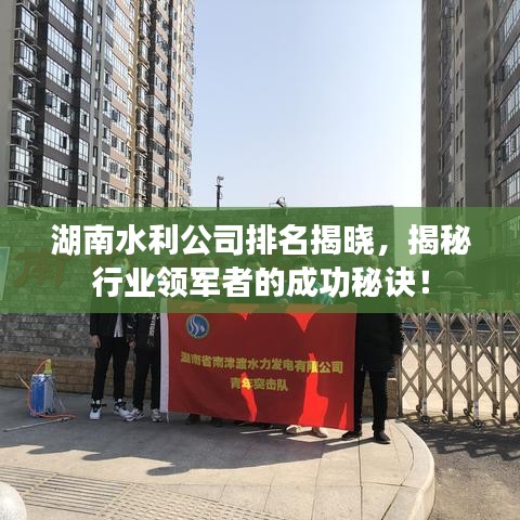 湖南水利公司排名揭晓，揭秘行业领军者的成功秘诀！