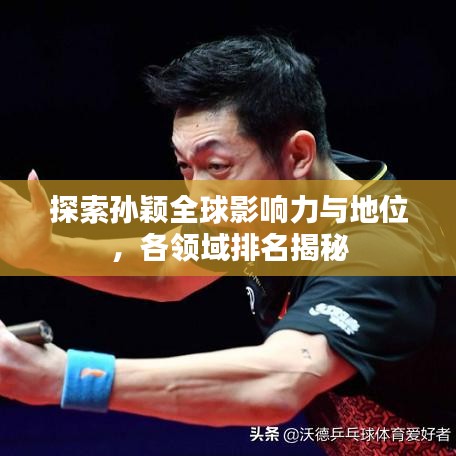 探索孙颖全球影响力与地位，各领域排名揭秘