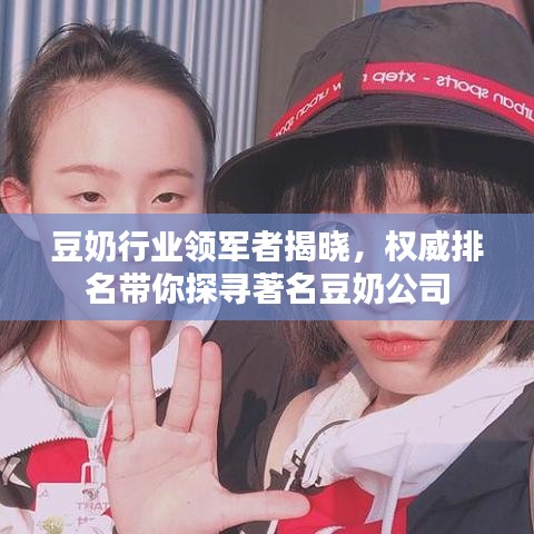 豆奶行业领军者揭晓，权威排名带你探寻著名豆奶公司