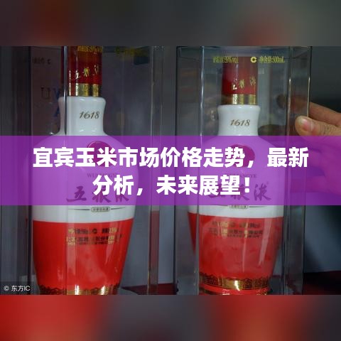 宜宾玉米市场价格走势，最新分析，未来展望！