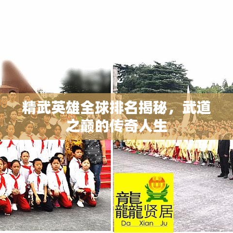精武英雄全球排名揭秘，武道之巅的传奇人生