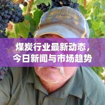 煤炭行业最新动态，今日新闻与市场趋势深度解析