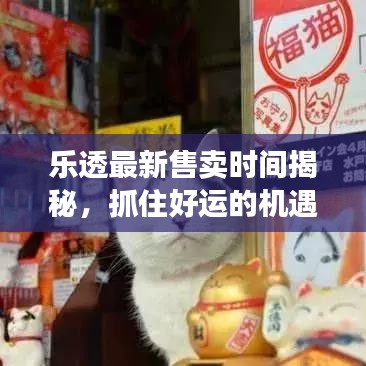 乐透最新售卖时间揭秘，抓住好运的机遇时刻！