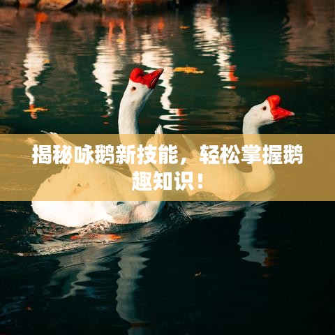 揭秘咏鹅新技能，轻松掌握鹅趣知识！