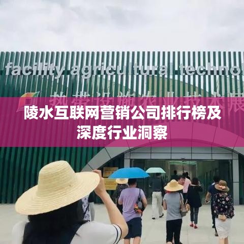 陵水互联网营销公司排行榜及深度行业洞察
