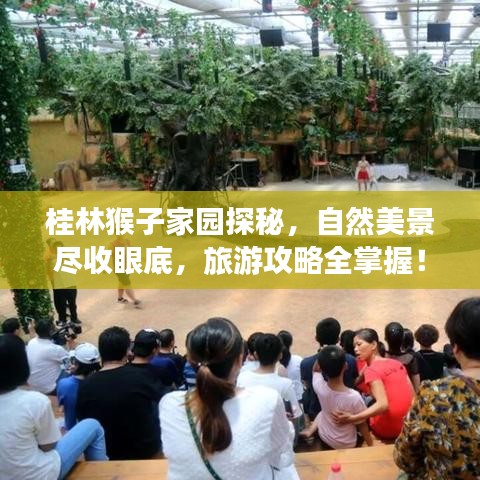 桂林猴子家园探秘，自然美景尽收眼底，旅游攻略全掌握！