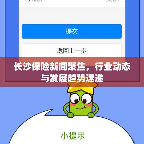 长沙保险新闻聚焦，行业动态与发展趋势速递