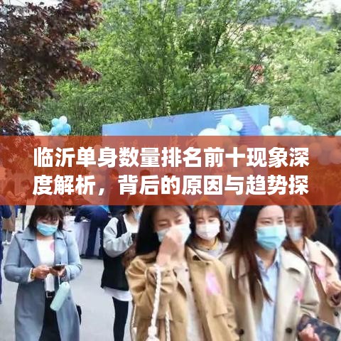 临沂单身数量排名前十现象深度解析，背后的原因与趋势探讨