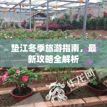 垫江冬季旅游指南，最新攻略全解析