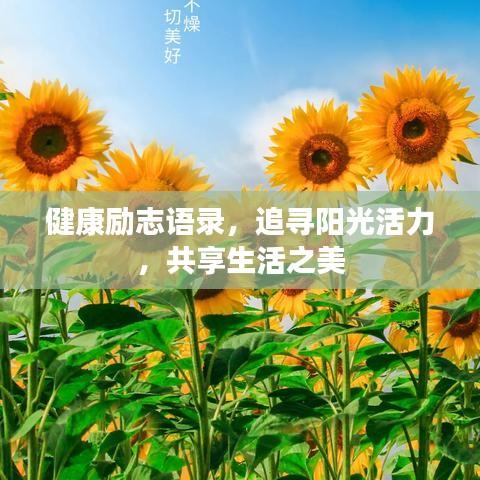 健康励志语录，追寻阳光活力，共享生活之美
