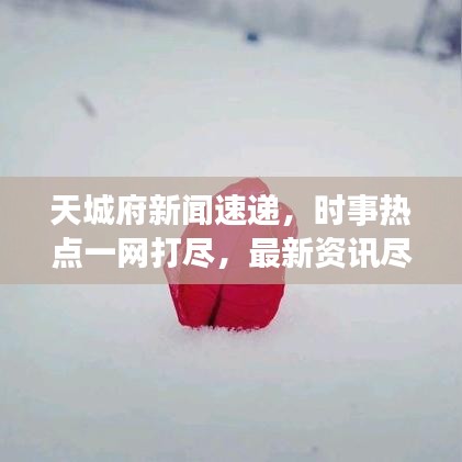 天城府新闻速递，时事热点一网打尽，最新资讯尽在掌握