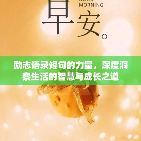 励志语录短句的力量，深度洞察生活的智慧与成长之道