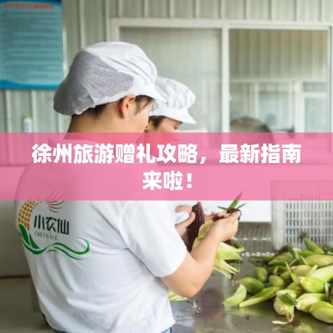 徐州旅游赠礼攻略，最新指南来啦！