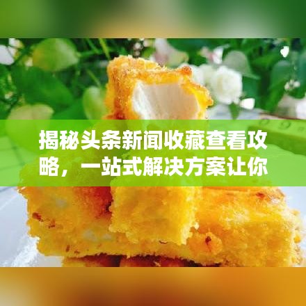 揭秘头条新闻收藏查看攻略，一站式解决方案让你轻松找到收藏内容！