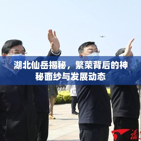 湖北仙岳揭秘，繁荣背后的神秘面纱与发展动态