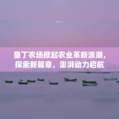 垦丁农场掀起农业革新浪潮，探索新篇章，澎湃动力启航