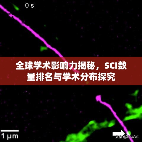 全球学术影响力揭秘，SCI数量排名与学术分布探究