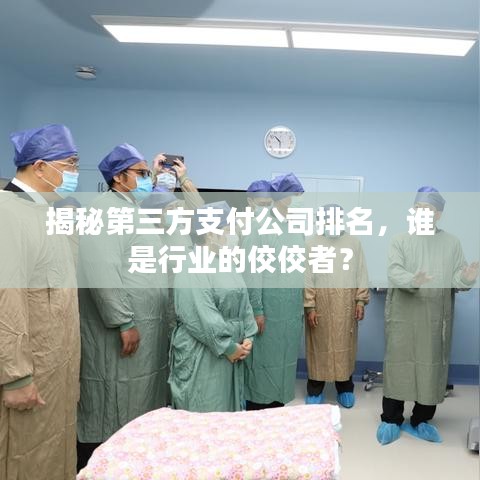 揭秘第三方支付公司排名，谁是行业的佼佼者？