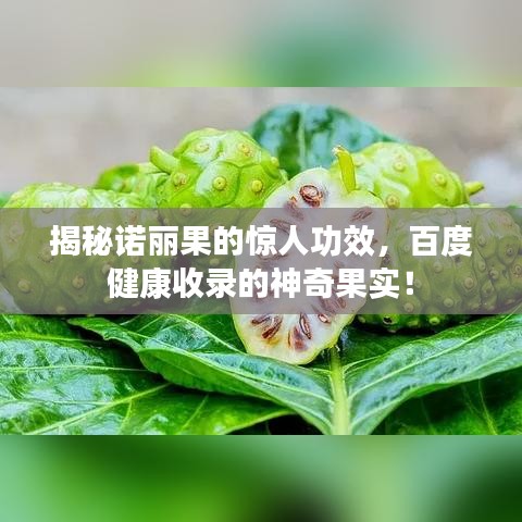 揭秘诺丽果的惊人功效，百度健康收录的神奇果实！