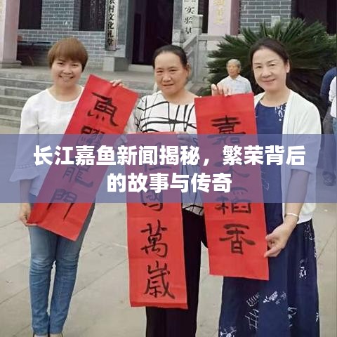 长江嘉鱼新闻揭秘，繁荣背后的故事与传奇