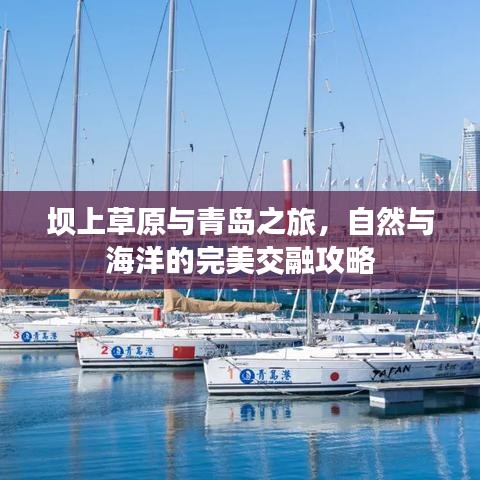 坝上草原与青岛之旅，自然与海洋的完美交融攻略