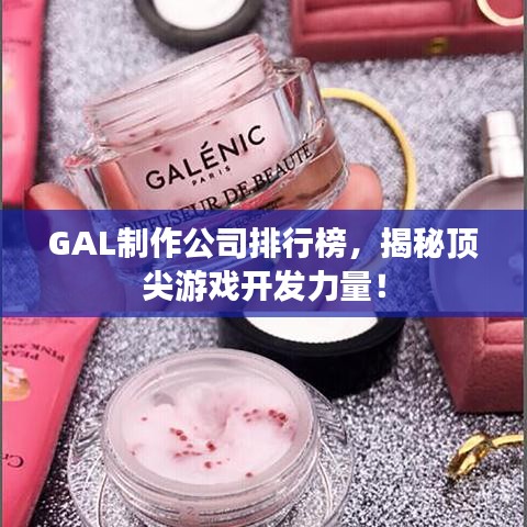 GAL制作公司排行榜，揭秘顶尖游戏开发力量！