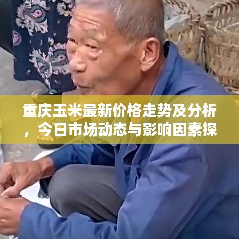 重庆玉米最新价格走势及分析，今日市场动态与影响因素探讨