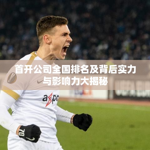 首开公司全国排名及背后实力与影响力大揭秘