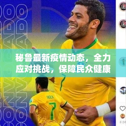 秘鲁最新疫情动态，全力应对挑战，保障民众健康安全