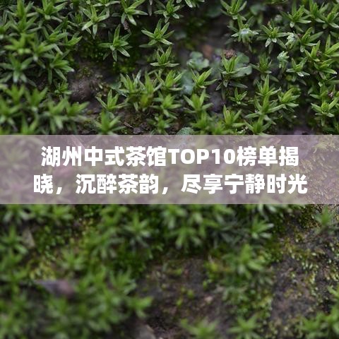 湖州中式茶馆TOP10榜单揭晓，沉醉茶韵，尽享宁静时光