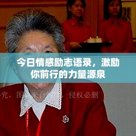 今日情感励志语录，激励你前行的力量源泉