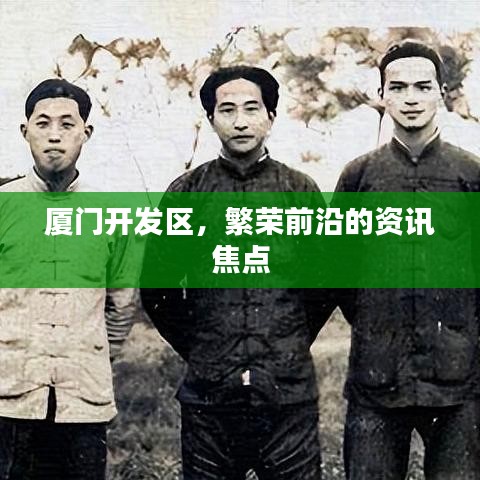 厦门开发区，繁荣前沿的资讯焦点