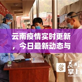 云南疫情实时更新，今日最新动态与消息速递