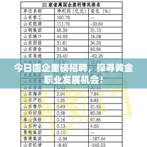 今日国企重磅招聘，探寻黄金职业发展机会！