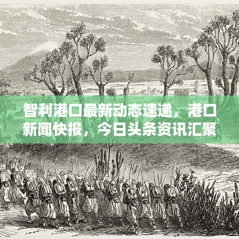 智利港口最新动态速递，港口新闻快报，今日头条资讯汇聚