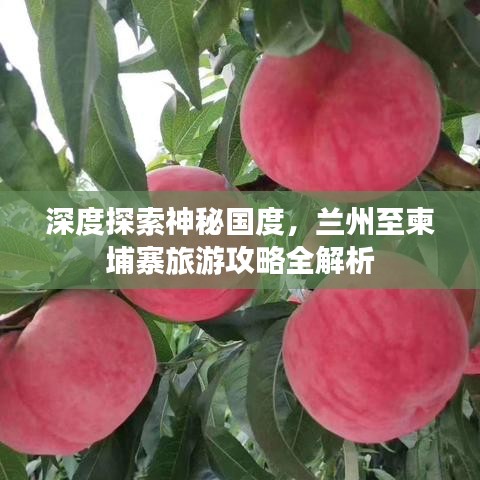 深度探索神秘国度，兰州至柬埔寨旅游攻略全解析