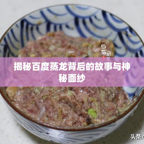 揭秘百度蒸龙背后的故事与神秘面纱