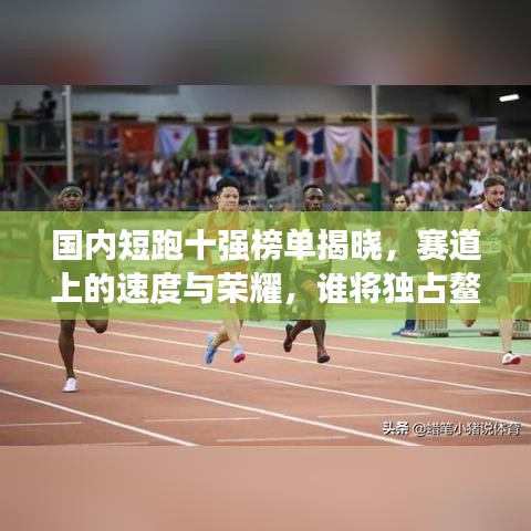 国内短跑十强榜单揭晓，赛道上的速度与荣耀，谁将独占鳌头？