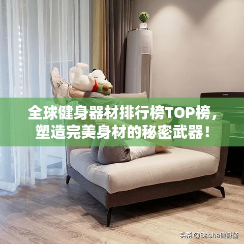 全球健身器材排行榜TOP榜，塑造完美身材的秘密武器！