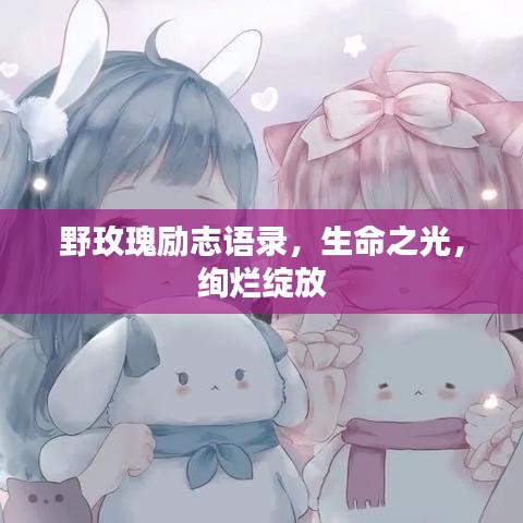 野玫瑰励志语录，生命之光，绚烂绽放