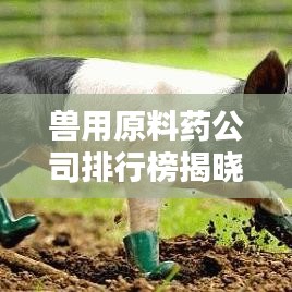 兽用原料药公司排行榜揭晓，探寻行业领导者，优质供应一览无余