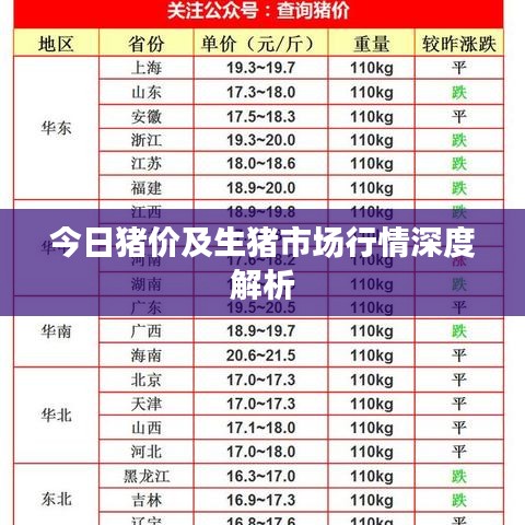 今日猪价及生猪市场行情深度解析