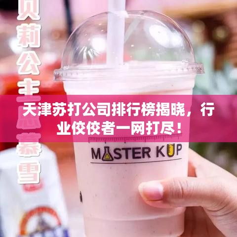 天津苏打公司排行榜揭晓，行业佼佼者一网打尽！