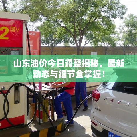 山东油价今日调整揭秘，最新动态与细节全掌握！