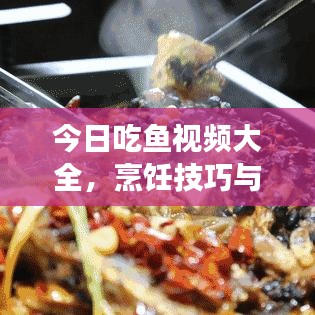 今日吃鱼视频大全，烹饪技巧与美食盛宴，尽享鱼鲜盛宴！