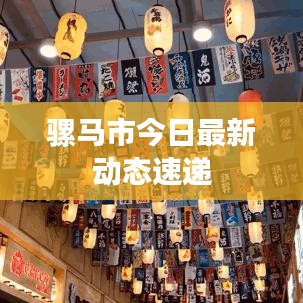 骡马市今日最新动态速递