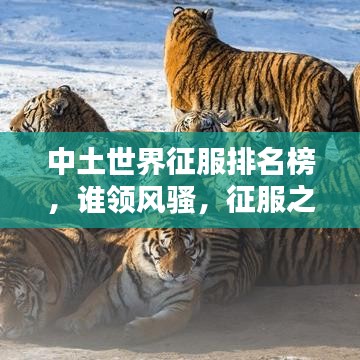 中土世界征服排名榜，谁领风骚，征服之路谁主沉浮？
